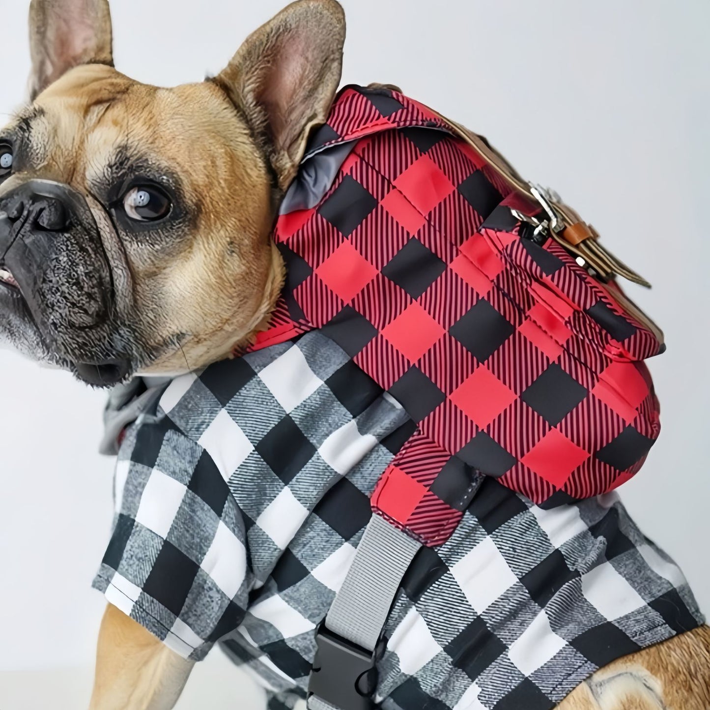 Backpack Harness for Dogs, Adjustable Dog Harness Backpack with Mini Pack for Walking, Hiking & Travel