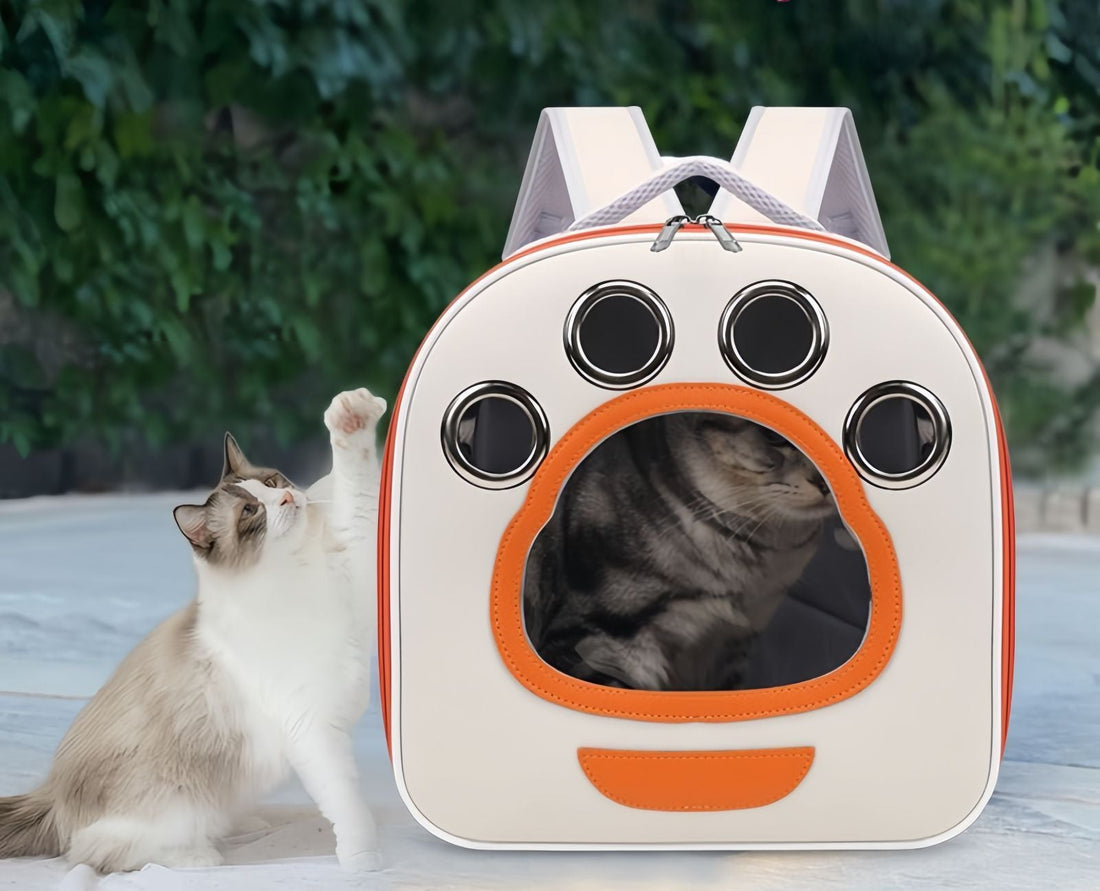 What Is the Best Cat Carrier? A Guide to Choosing the Right One