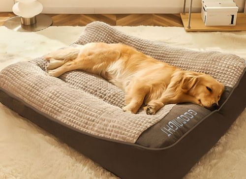 What Is the Best Fabric for a Sofa With Pets? Choosing Materials That Can Handle Fur, Scratches, and Everyday Pet Life