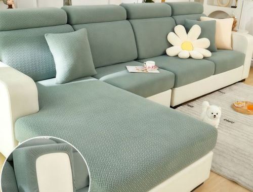 How to Fix Dog Scratches on Leather Sofa? Easy Repair Methods and Simple Ways to Prevent Future Damage
