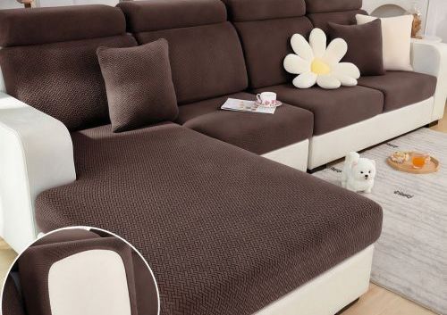 How to Get Dog Hair Off Sofa Quickly and Effectively? Simple and Practical Ways to Remove Pet Hair and Keep Your Sofa Clean Every Day