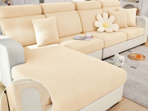 How to Protect Leather Sofa From Dogs? Simple Ways to Prevent Scratches, Hair, Stains, and Everyday Pet Damage