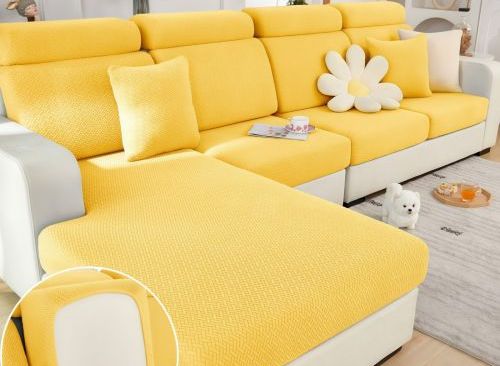 Are Leather Sofas Good for Dogs? The Pros, Cons, and Practical Tips Every Pet Owner Should Know Before Choosing One