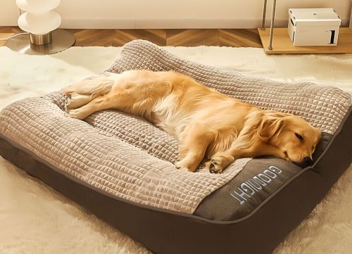 How to Clean Dog Vomit From Sofa? A Step-by-Step Guide to Remove Stains, Odors, and Help Prevent Future Accidents