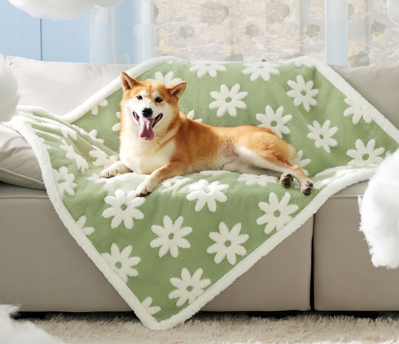 How to Remove Pet Hair From Blankets: Easy Methods That Actually Work