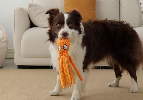 Why Do Dogs Destroy Toys? Understanding Chewing, Play, and Natural Dog Instincts