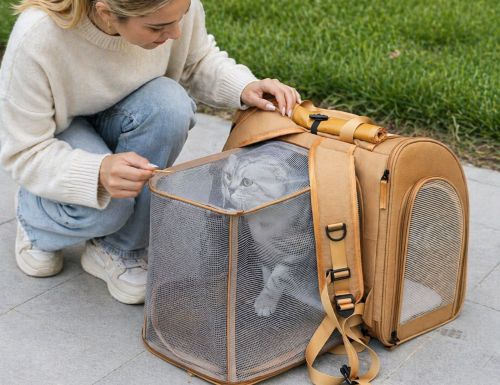 Do Cats Like Backpack Carriers? Understanding How Cats Adjust to Cat Backpacks