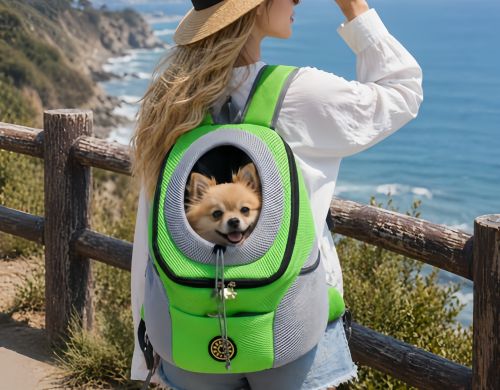 Are Dog Carriers Comfortable for Dogs? What Pet Owners Should Know