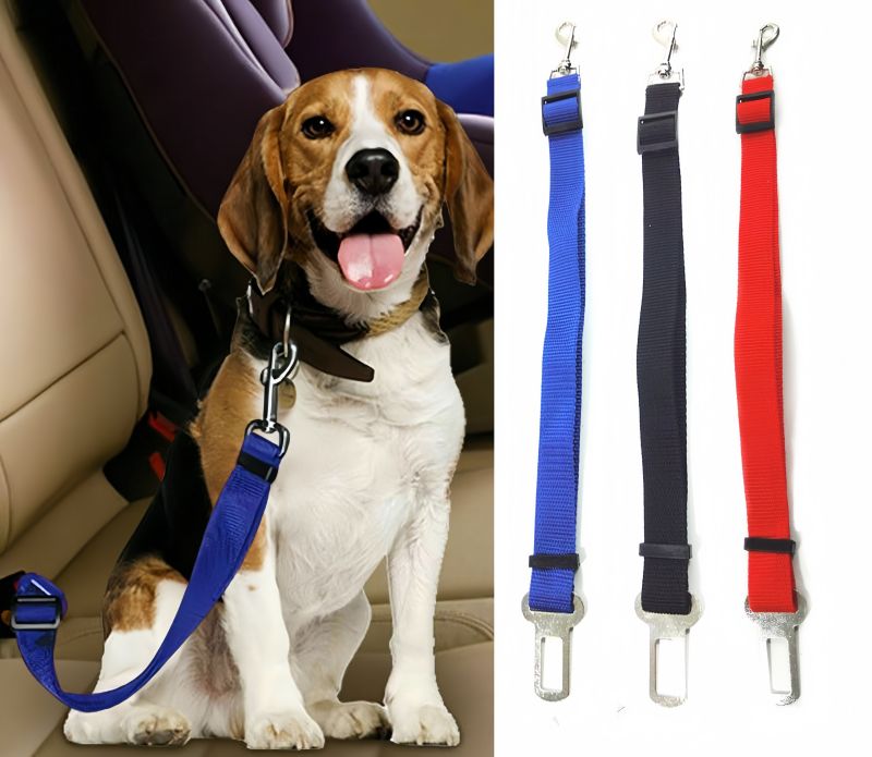 How to Secure a Dog in a Car: Safe Travel Methods Every Owner Should Know