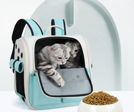 Are Cat Backpacks Safe for Cats? What Every Cat Owner Should Know