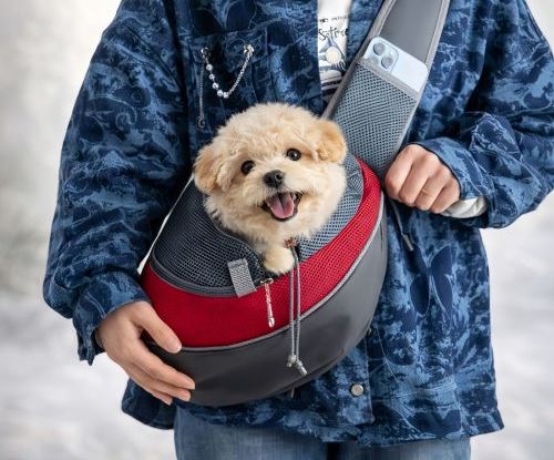 How to Carry a Dog in a Sling