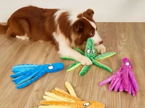 Why Do Dogs Hide Their Toys? Understanding This Common Dog Behavior