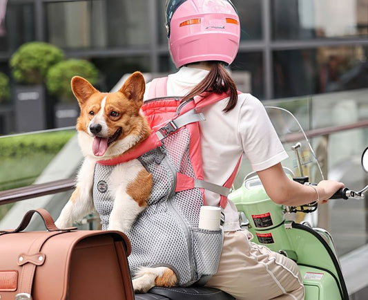 Are Dog Backpacks Safe for Small Dogs? Safety Tips Every Owner Should Know