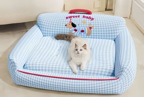Why Do Cats Sleep Curled Up? What Your Cat’s Sleeping Position Really Means