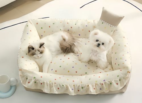 Why Do Cats Knead Their Beds? Understanding This Comforting Cat Behavior