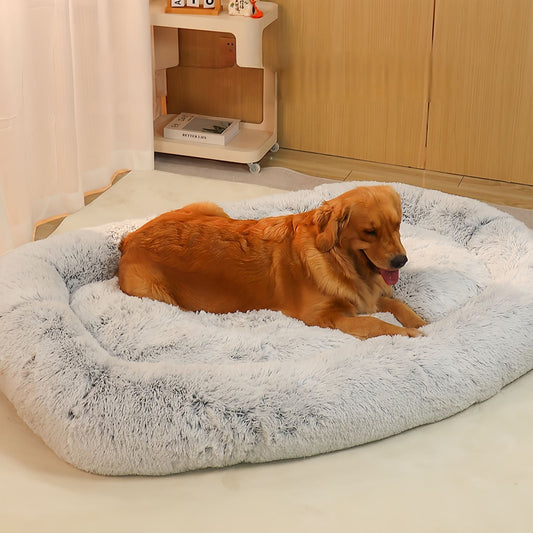 Best Dog Beds for Large Dogs: How to Choose the Perfect Bed for Big Dogs