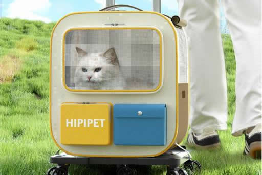 How to Get a Cat Used to a Carrier (Step-by-Step Guide)