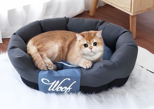 Why Do Cats Sleep in Small Spaces? Understanding Cats’ Love for Cozy Spots