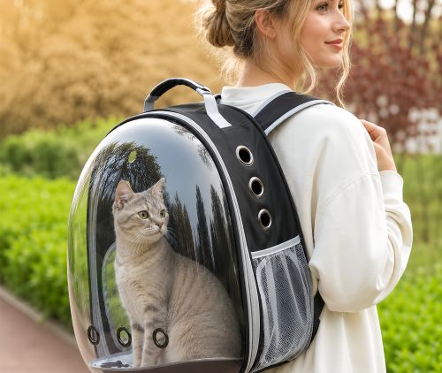 Do Cats Like Bubble Backpacks? Understanding Why Some Cats Enjoy Watching the Outside World