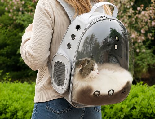 Are Bubble Backpacks Safe for Cats? 🐱🎒 How Your Cat Can Safely Explore the Outside World