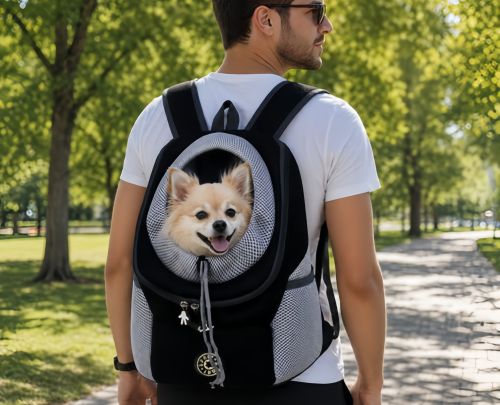 What Is a Dog Bag? Understanding Types, Sizes, and Safety Tips