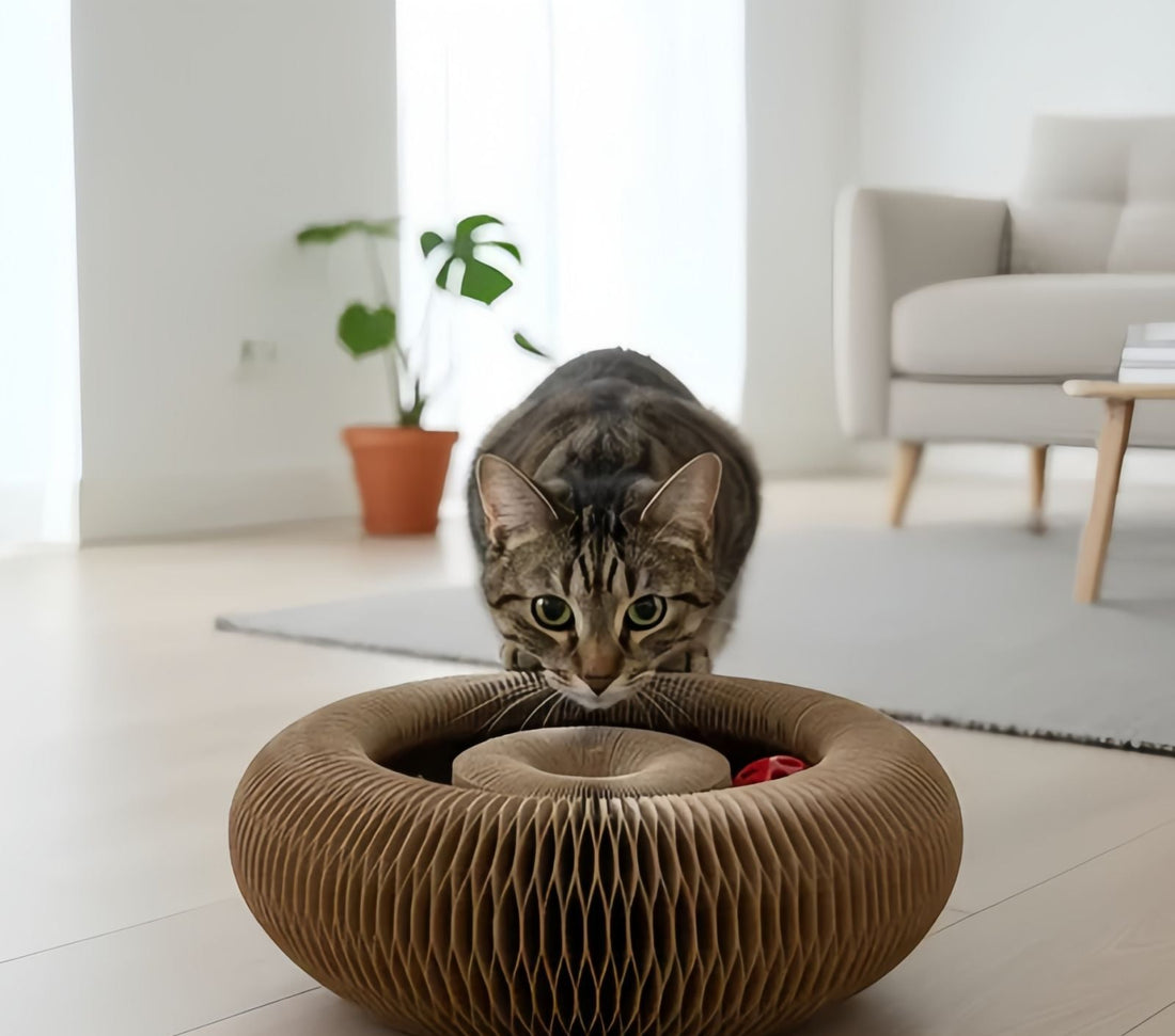 Why Do Cats Put Toys in Water? Common Reasons and What It Means