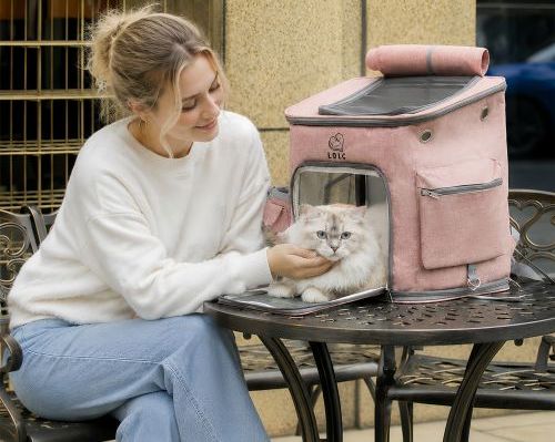 Are Cat Backpacks Good for Cats? 👜🐈 What Pet Owners Should Know Before Taking Their Cat Outdoors