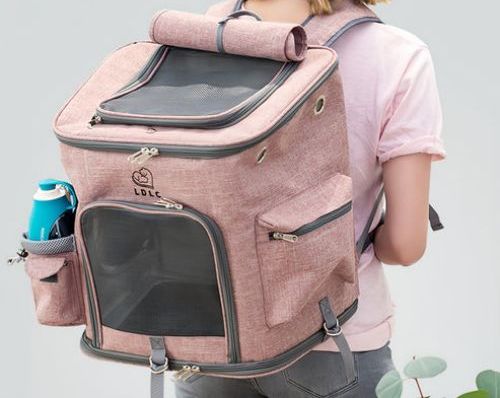 Can I Carry My Cat in a Backpack? What Cat Owners Should Know Before Taking Their Cat Outdoors