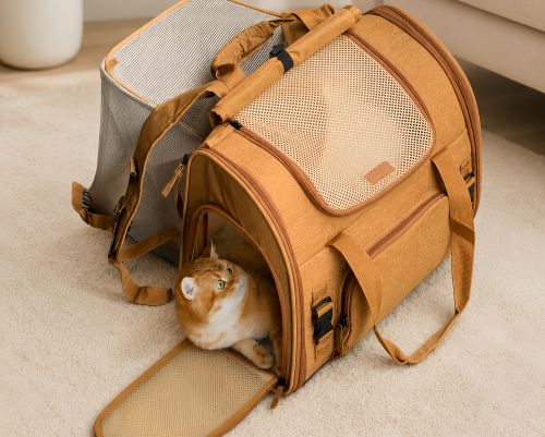Are Cat Backpacks Bad? Common Concerns About Cat Backpacks and the Truth Behind Them
