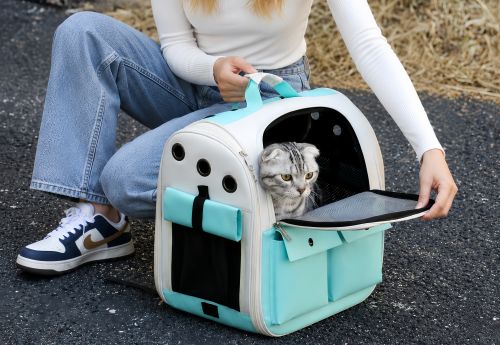 Are Cat Backpacks Cruel? 🐱 Understanding Safety, Comfort, and Cat Well-being