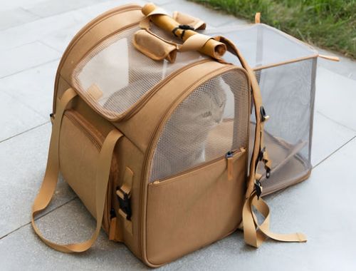 Do Cats Like Going on Walks in Backpacks? 🐈🌿 Understanding How Cats Experience Backpack Adventures