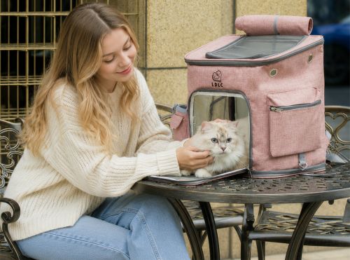 What Is the Best Cat Backpack? Features to Look for When Choosing a Cat Backpack