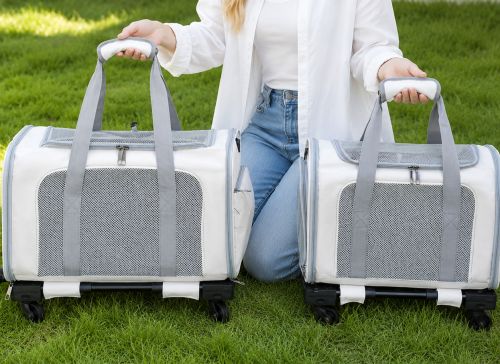 How Long Can a Cat Stay in a Carrier? 🐈 A Guide to Safe Travel Times for Cats