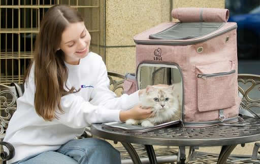 How to Choose the Right Cat Carrier: A Complete Buying Guide