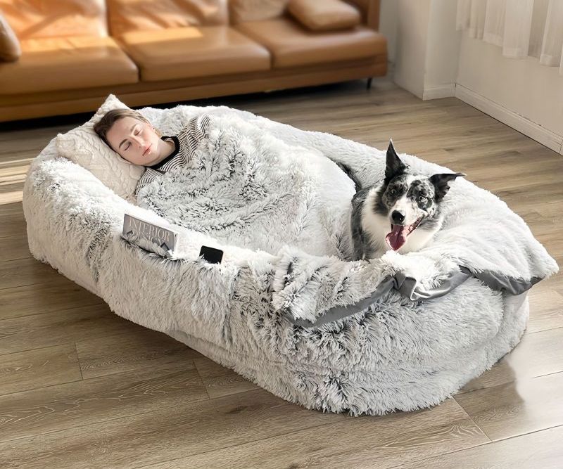 What Size Dog Bed Should I Get? A Simple Guide for Choosing the Right Size for Your Dog