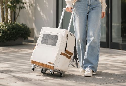 Should I Cover My Cat’s Carrier When Traveling? 🧳 Tips to Keep Your Cat Comfortable and Safe