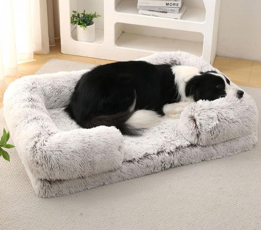 Why Do Dogs Dig in Their Beds? Common Reasons Behind This Natural Behavior
