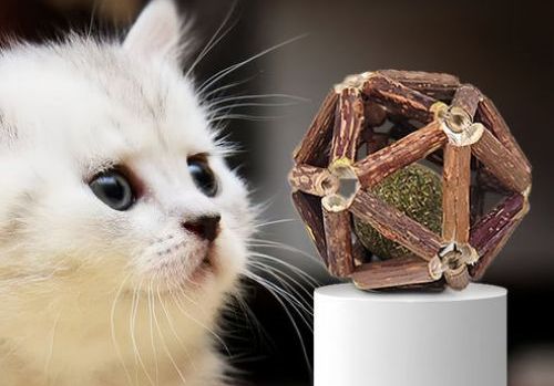How Do Catnip Toys Work? Understanding Why Some Cats Love Catnip Toys