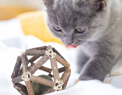 Why Does My Cat Bring Me Toys While I Sleep? Understanding Nighttime Cat Behavior and “Gift” Instincts