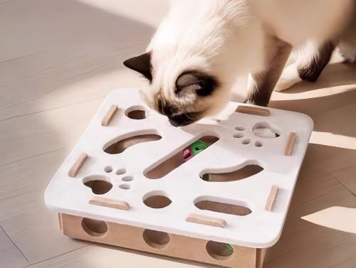 🩺 What Cat Toys Do Vets Recommend? Choosing Safe and Healthy Toys for Your Cat