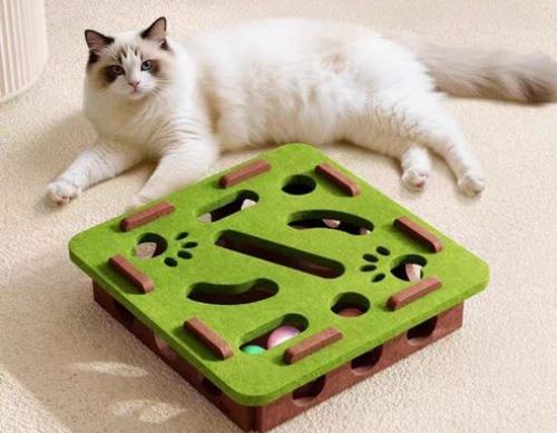 What Makes a Good Cat Toy? Key Features Cats Love in Their Toys