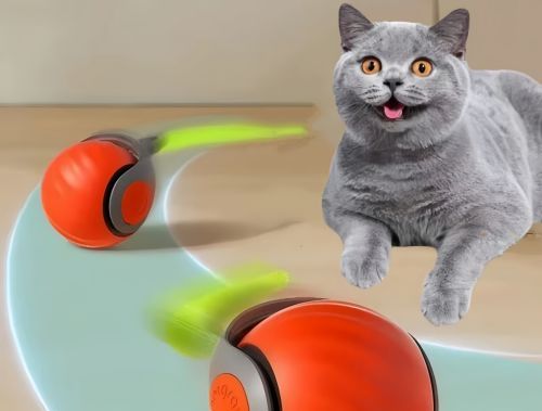 Why Do Cats Kick Their Toys With Their Back Legs? Understanding Your Cat's "Bunny Kicking" Instinct