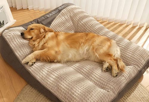 What Is the Best Couch to Have With Dogs? Choosing a Dog-Friendly Sofa That Balances Comfort, Durability, and Style