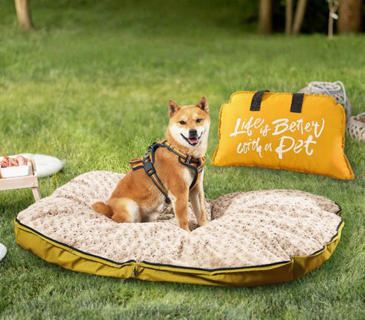 How to Wash a Dog Bed Properly: Step-by-Step Cleaning Guide for Pet Owners