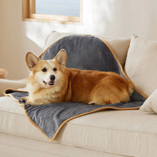 Reversible Dog Blanket for Couch and Bed, Soft Furniture Protector for Dogs and Cats