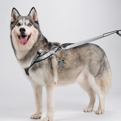 Heavy Duty Sled Dog Harness for Medium to Large Dogs, Reflective Dog Pulling Harness for Running Training & Outdoor Activities