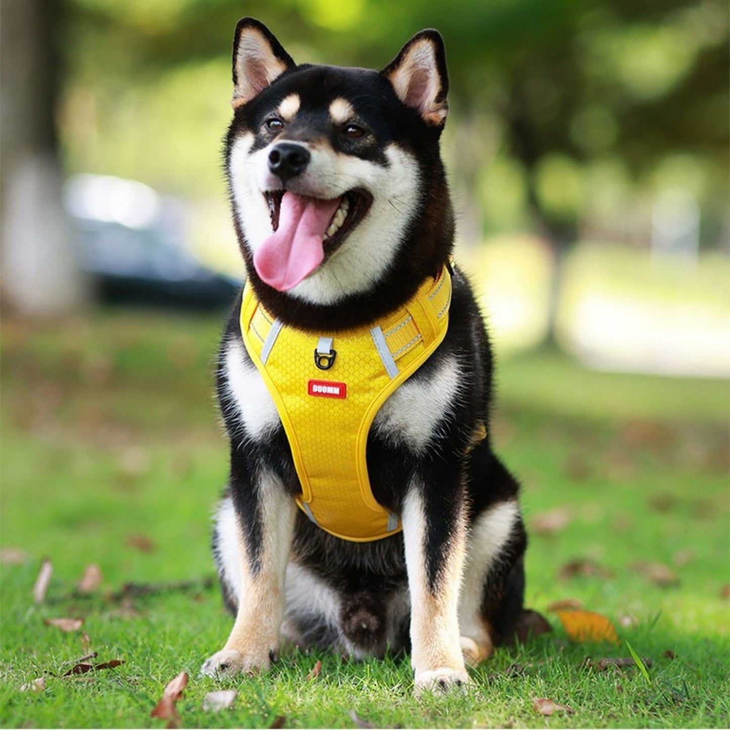 No Pull Dog Harness with Handle, Reflective Adjustable Dog Harness for Small to Medium Dogs