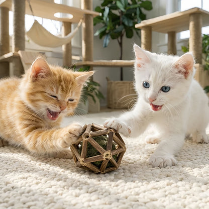 Matatabi Catnip Ball Interactive Cat Toy, Cat Chew Ball for Teeth Cleaning & Play