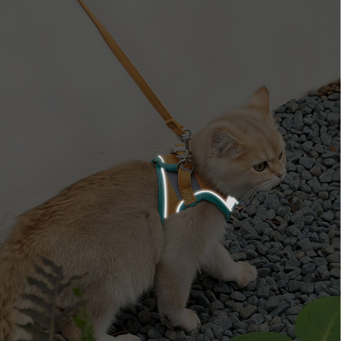 Escape Proof Cat Harness and Leash Set, Adjustable Reflective Walking Harness for Cats & Small Dogs