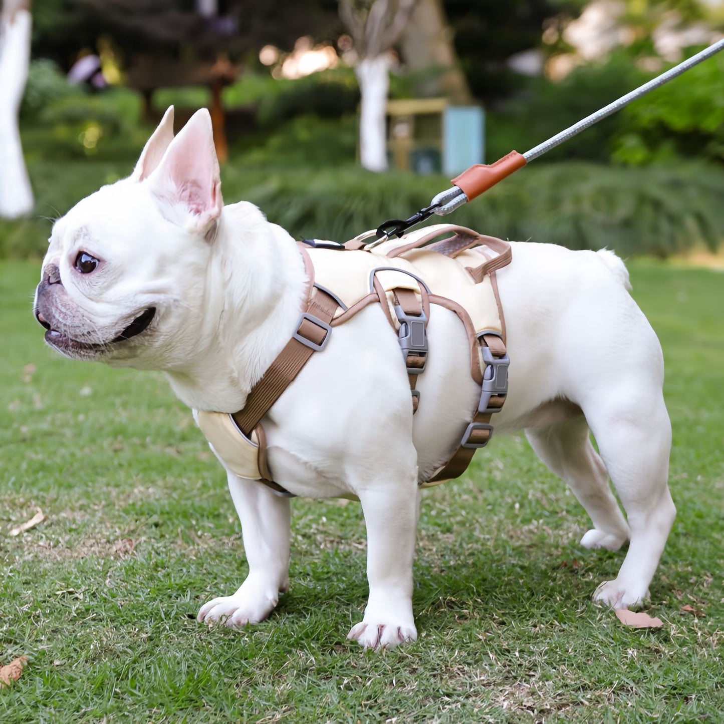 Escape Proof Dog Harness with Dual Handle, No Pull Reflective Adjustable Dog Harness for Small to Medium Dogs